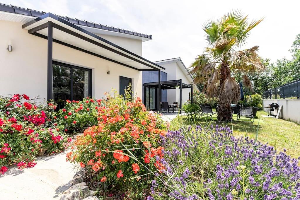 Villa Des Rives Du Tarn Avec Jacuzzi Montans Exterior foto